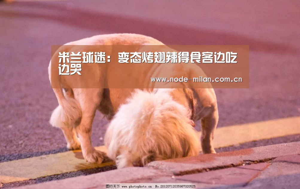 米兰体育官网app